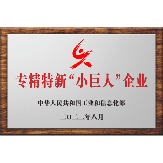 國家專精特新“小巨人”企業